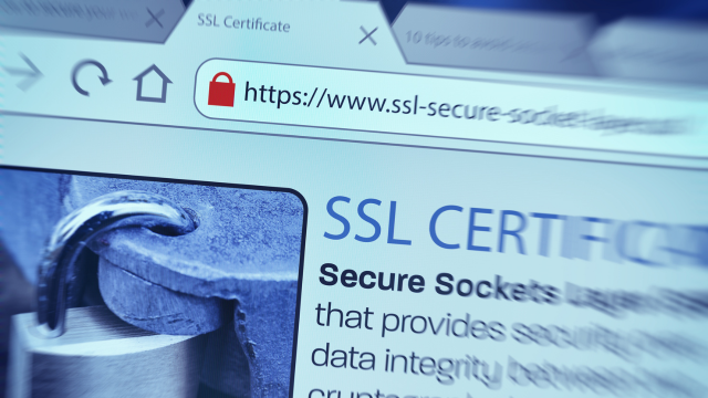 SSL Certificate Importance for Website Security